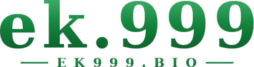 ek.999 logo